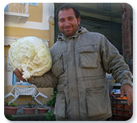 Symi agriculture example